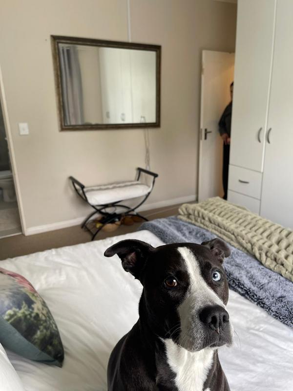 To Let 3 Bedroom Property for Rent in Sunningdale Western Cape